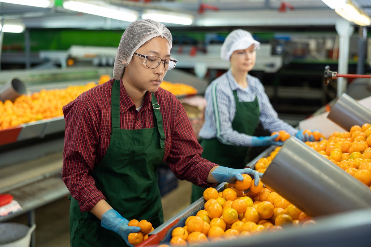 Eye Safety in Food Production & Packaging Industry - Worker wearing ugly fish katana prescription safety glasses